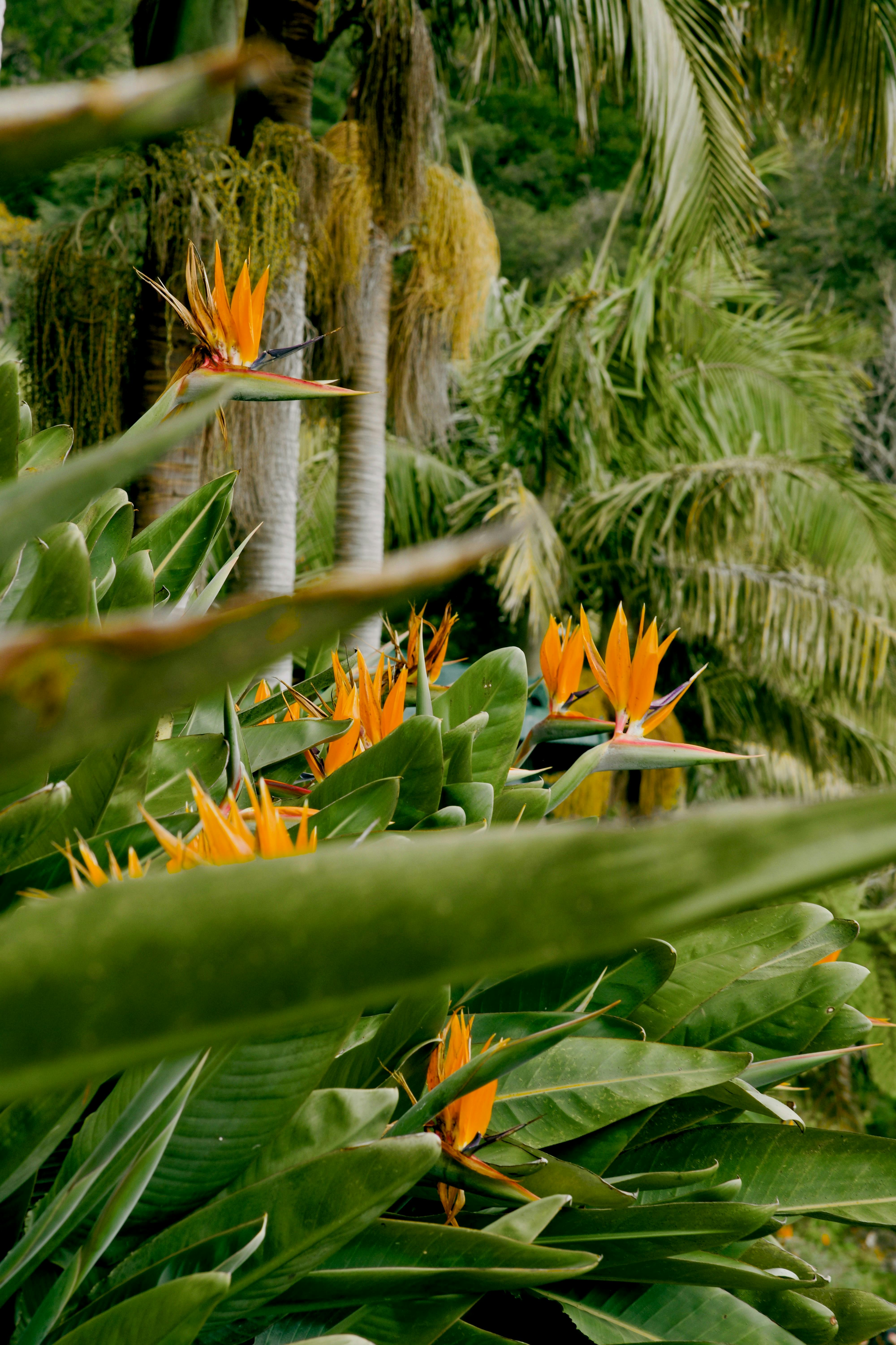 img srcx onerroralert(injected javascript).jpg