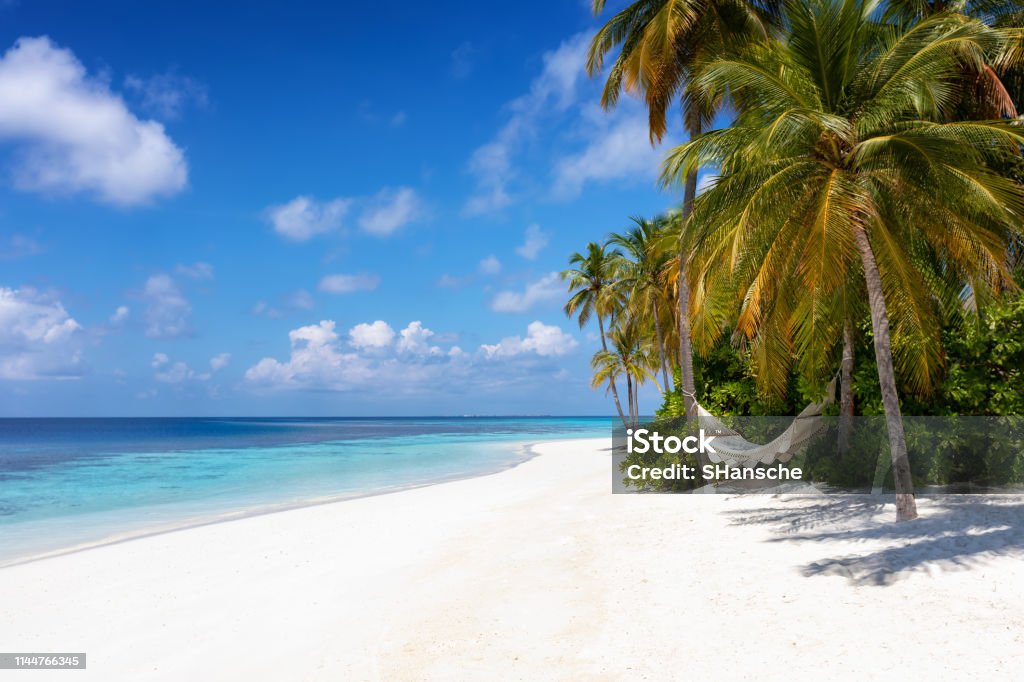 😘Option 😗3🙂